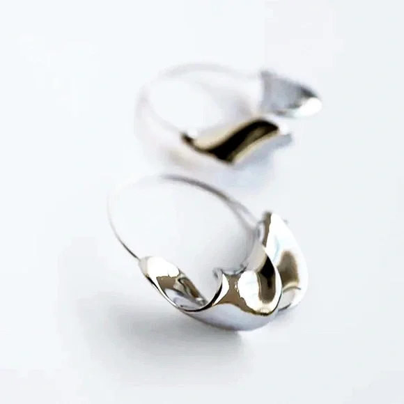 Any 3/$25! Silver Twisted Ribbon Hoop Earrings - Picture 2 of 8